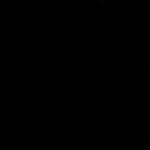 Meet your Posher, Owen